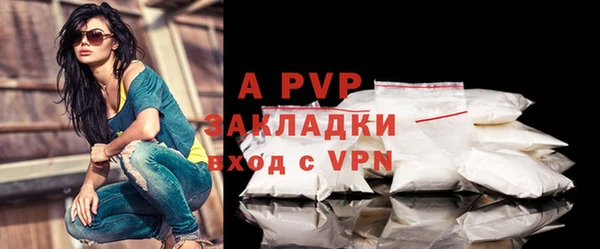 индика Балахна