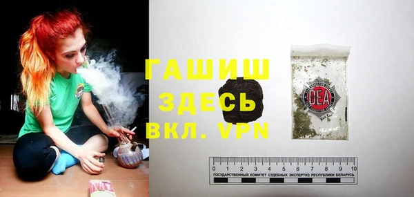 индика Балахна