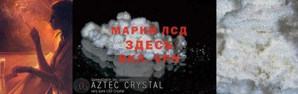 индика Балахна
