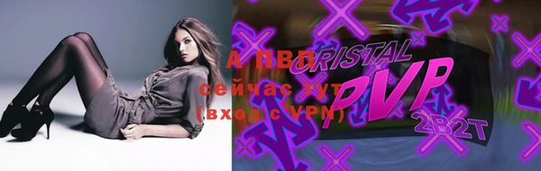 индика Балахна