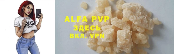 индика Балахна