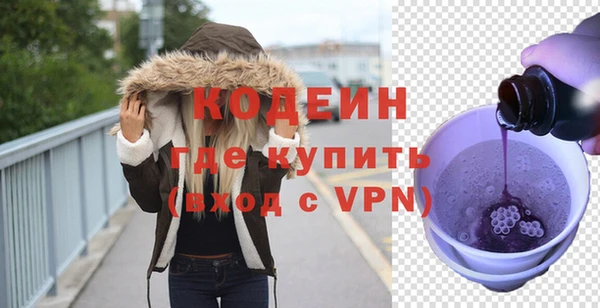 индика Балахна