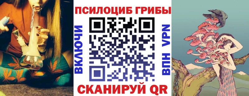 Галлюциногенные грибы Magic Shrooms  Купить где  Севск 